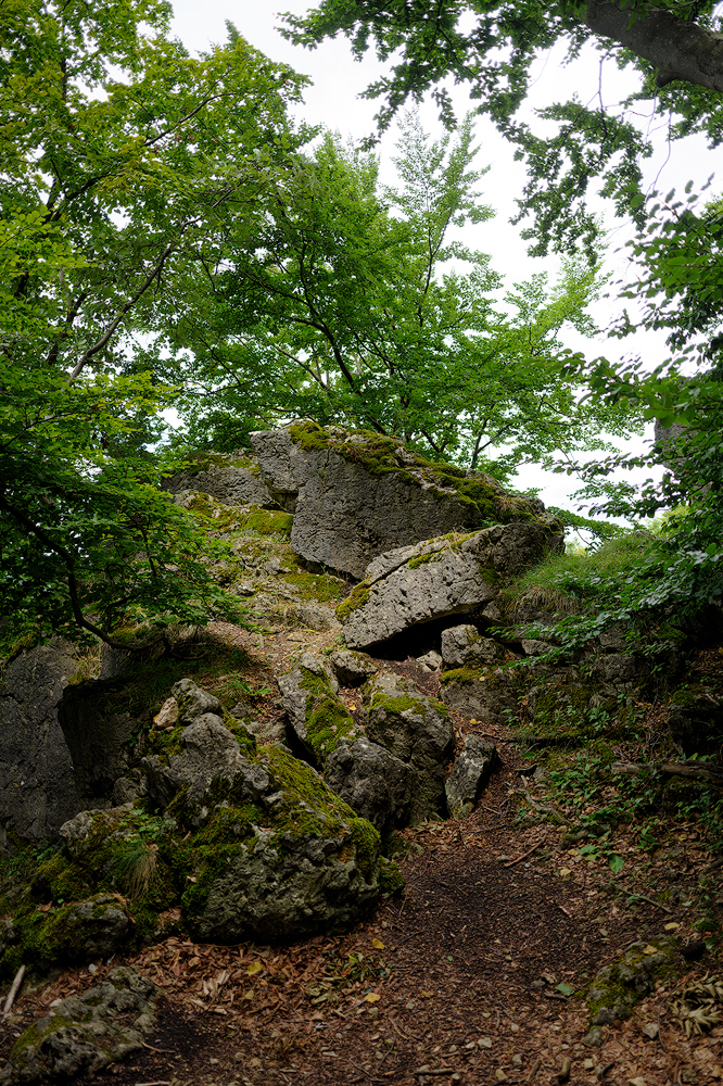 Glatzenstein 1