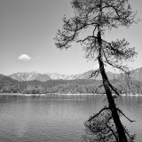 _VZ79380-sw-2.jpg