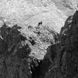 _VZ79286-2sw-2.jpg