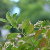 C-Kurt-Raabe.deKRZ_4794