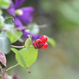 C-Kurt-Raabe.deKRZ_4806