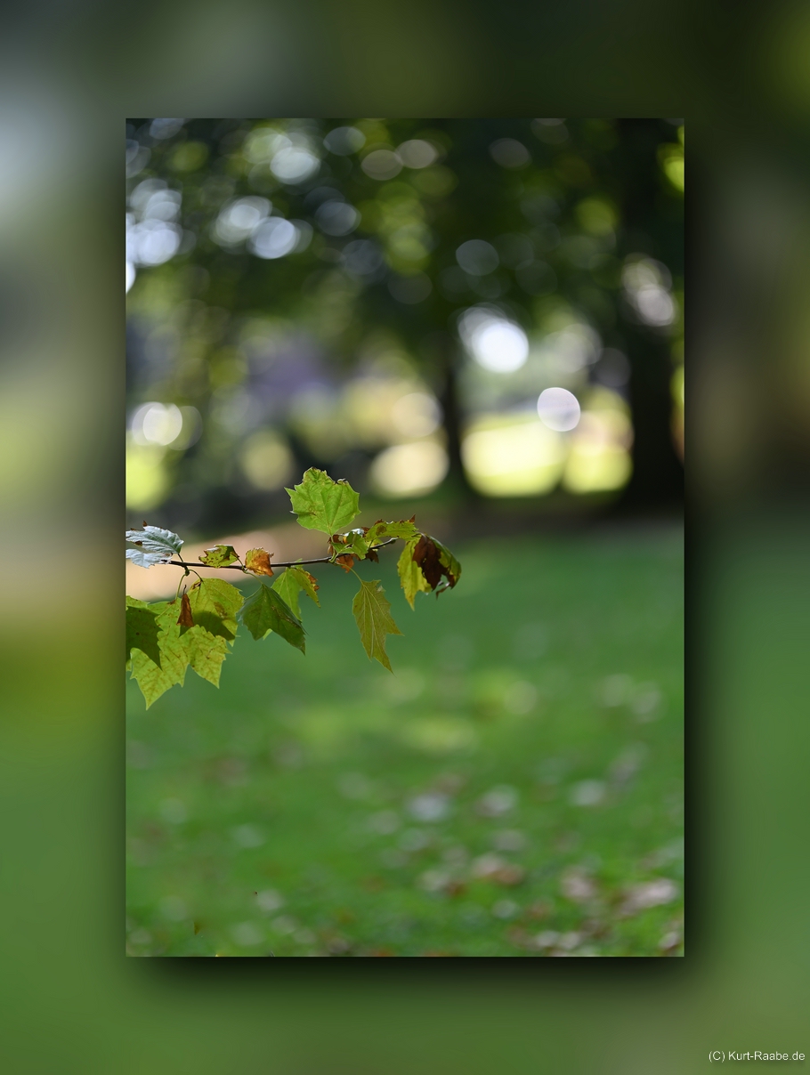 (C) Kurt Raabe.defx4959