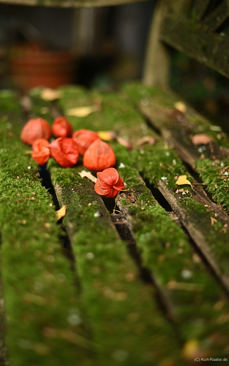 (C) Kurt Raabe.deKRZ 7442