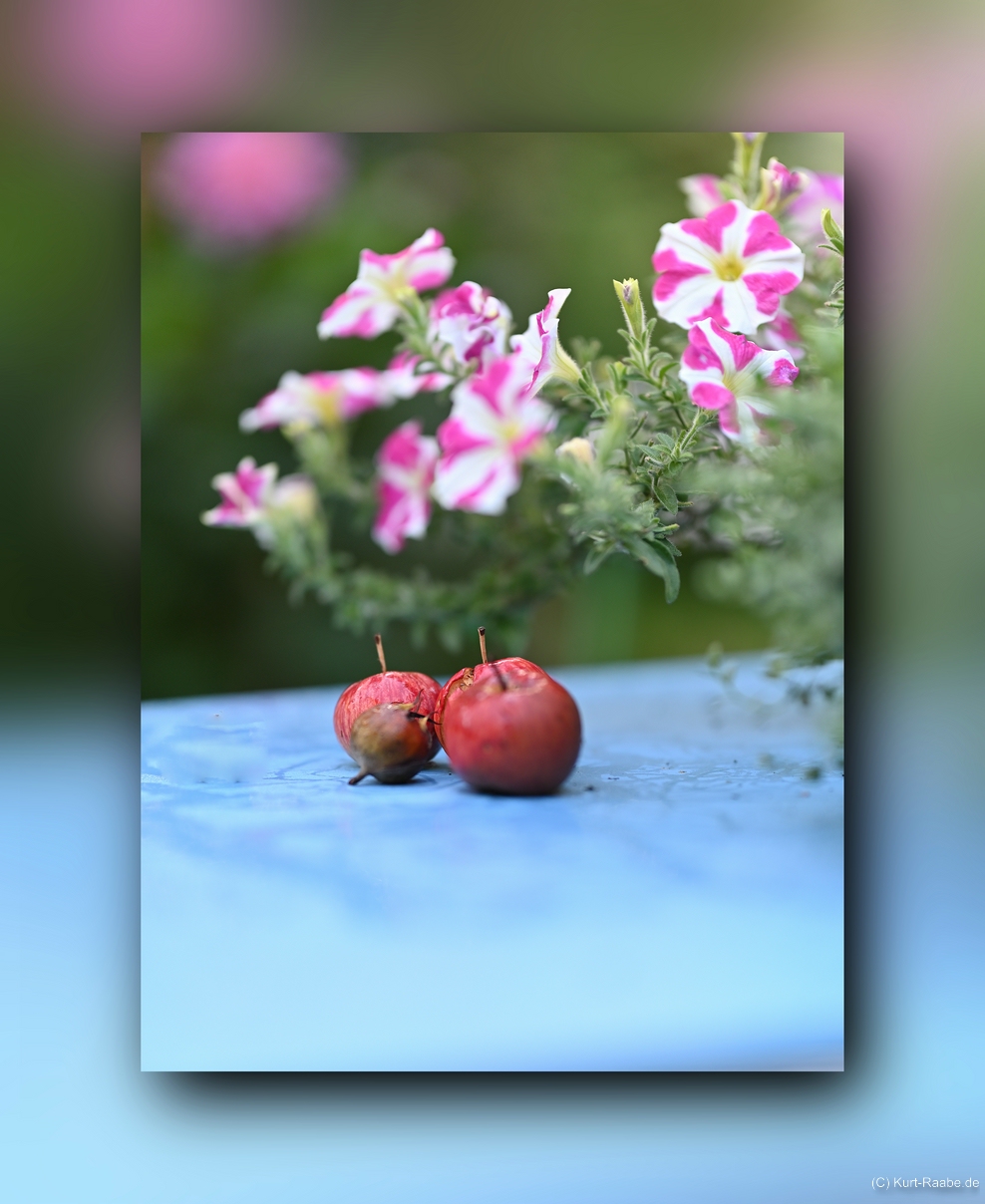 (C) Kurt Raabe.defx 4926