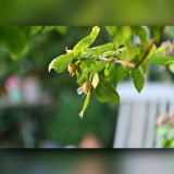 C-Kurt-Raabe.deKR_5001