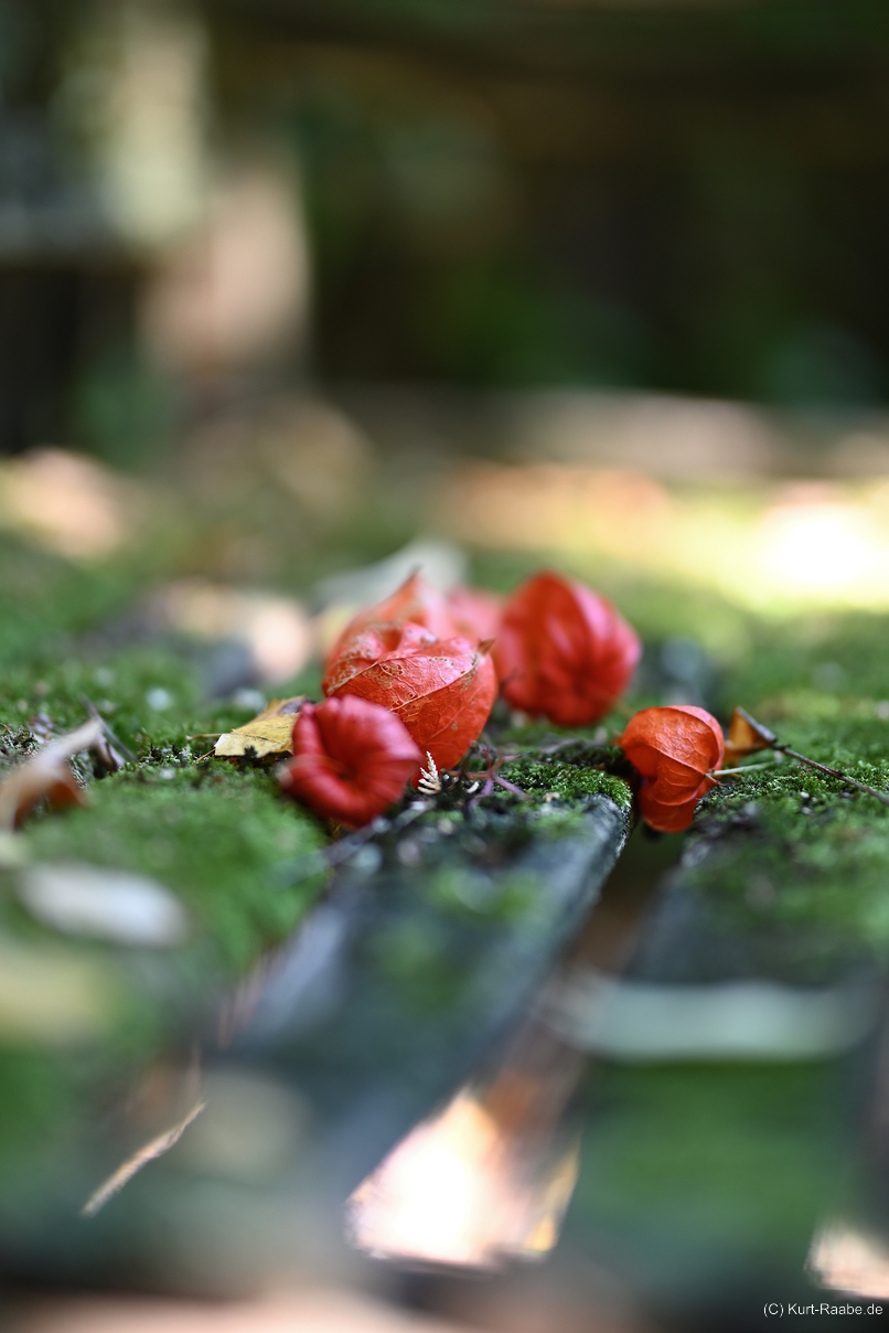 (C) Kurt Raabe.deKRZ 7476 85