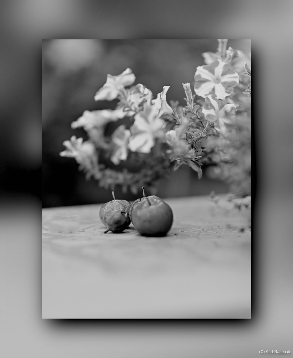 (C) Kurt Raabe.defx 4926 sw