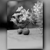 C-Kurt-Raabe.defx-4926_sw