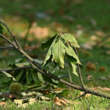 C-Kurt-Raabe.deKRZ_4947