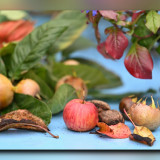 C-Kurt-Raabe.defx_KRZ_7644