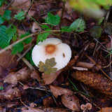 _VZ79946-DxO_DeepPRIME-XD2s-2