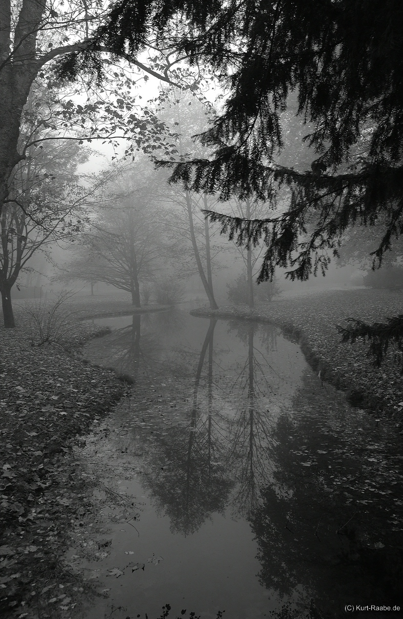 (C) Kurt Raabe.deDSC 2900 3522 SW