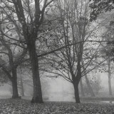 C-Kurt-Raabe.deDSC_2909_3531_01_sw_01