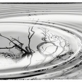 C-Kurt-Raabe.deDSC_4053_SW_Neu