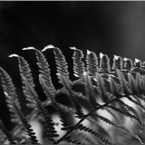 C-Kurt-Raabe.deDSC_2466_1_01