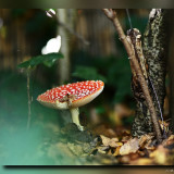 C-Kurt-Raabe.deKRZ_7701