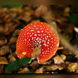 C-Kurt-Raabe.deKRZ_7703_01