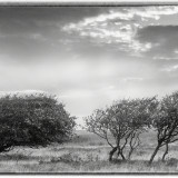 C-Kurt-Raabe.deDSC_4081_1_sw