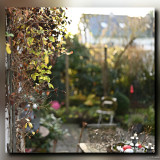 C-Kurt-Raabe.deKRZ_7772_1