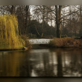 C-Kurt-Raabe.deDSC_8956