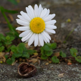 _VZ77773-DxO_DeepPRIME-XD2s-2