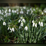 C-Kurt-Raabe.deKRZ_7937