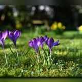 C-Kurt-Raabe.deKRZ_7963