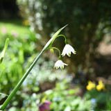 C-Kurt-Raabe.deKRZ_7966