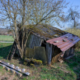 _VZ70507-DxO_DeepPRIME-XD2s-2