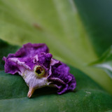 _VZ71573-DxO_DeepPRIME-XD2s-2