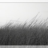 C-Kurt-Raabe.deKRZ_1857_01_01_sw