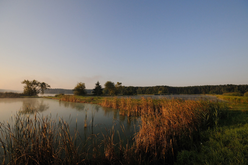 Best-of-2009-Dechserndorf-Weiher.jpg