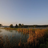Best-of-2009-Dechserndorf-Weiher