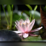C-Kurt-Raabe.deKRZ_5277_2
