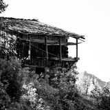_VZ71883-SW-2