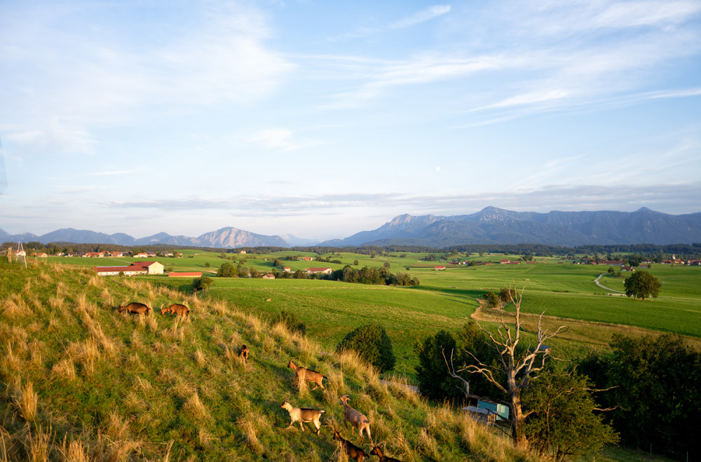 Riedsee-uebers-Land.jpg