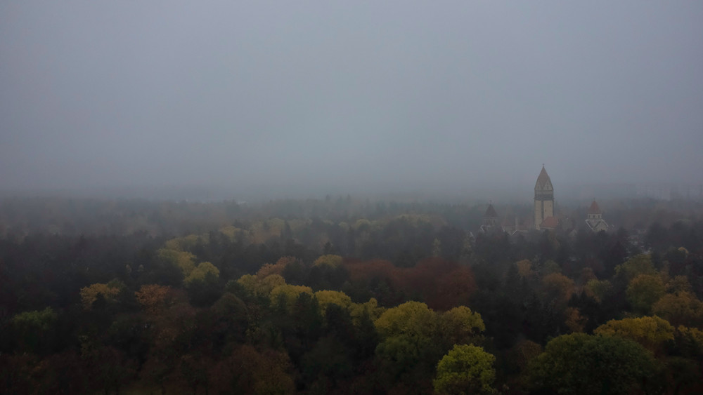 DSCF0674-web.jpg
