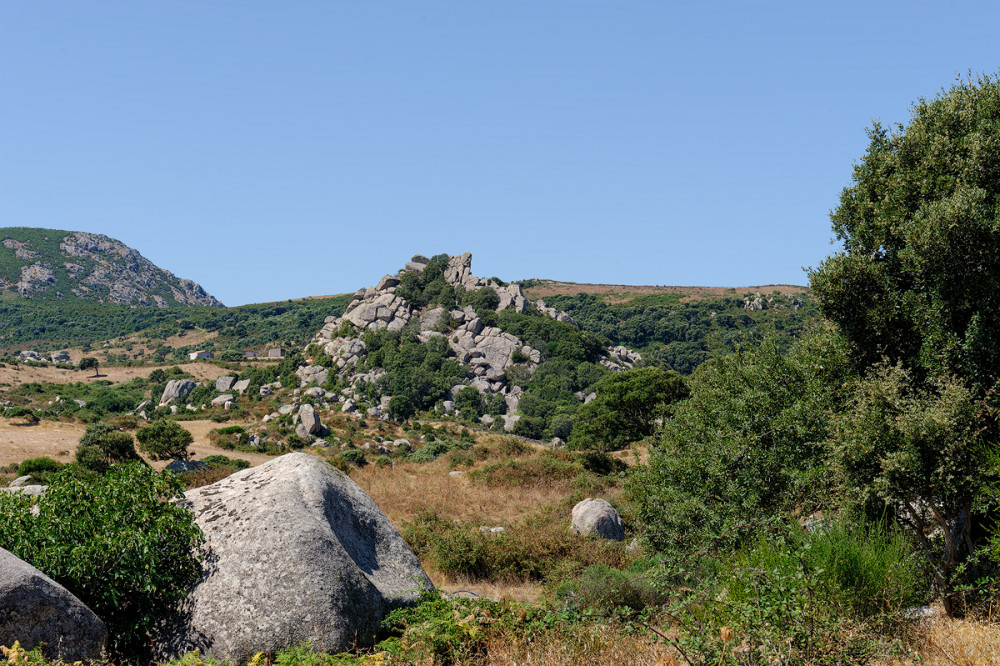 DSC_4250-DxO_DeepPRIME-XD2s-2.jpg