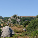 DSC_4250-DxO_DeepPRIME-XD2s-2