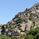 DSC_4266-Ausschnitt-3-2.jpg