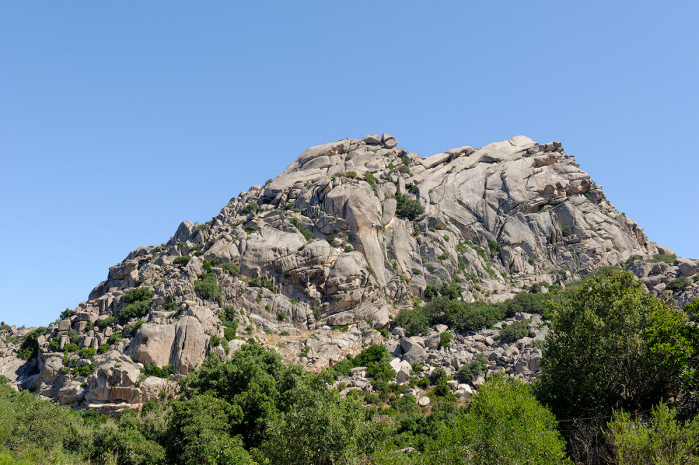 DSC_4266-DxO_DeepPRIME-XD2s-2.jpg
