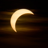 N72_0781