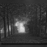 C-Kurt-Raabe.deDSC_4812_01_R